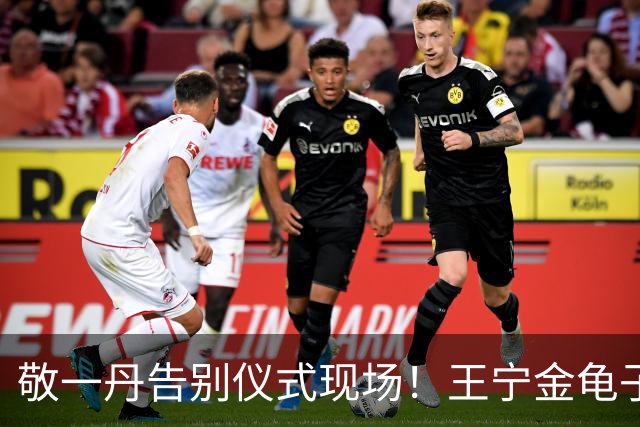 敬一丹告别仪式现场！王宁金龟子现身送别，多位主持人忍不住哭泣